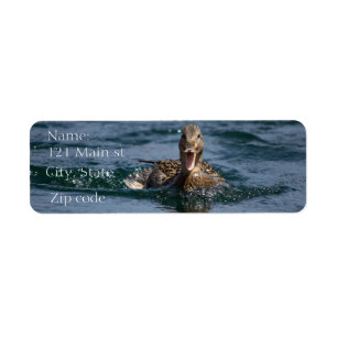 Duck with beak open