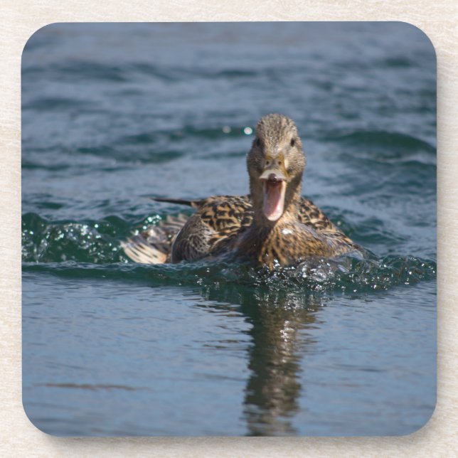 Duck with beak open coaster (Front)