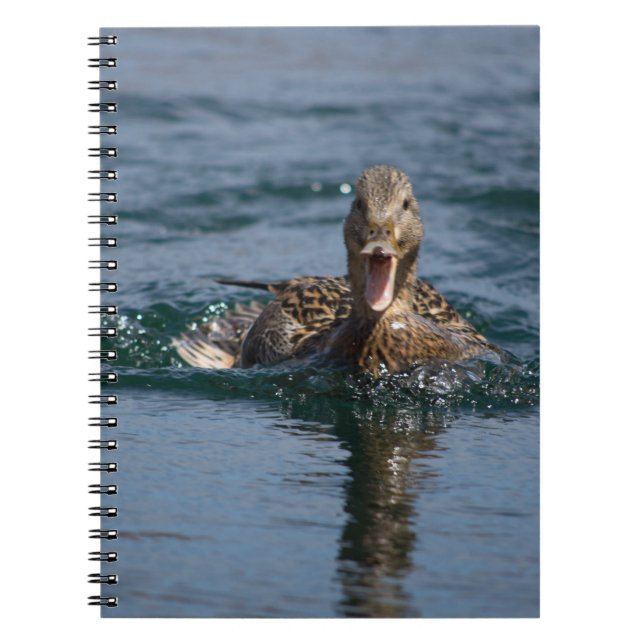 Duck with beak open                  notebook (Front)