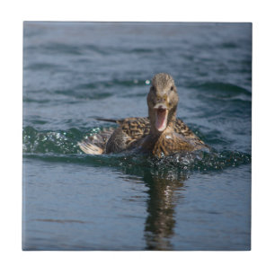 Duck with beak open tile