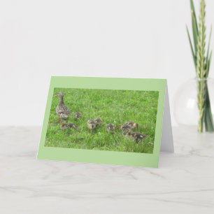 Duck with Ducklings Card