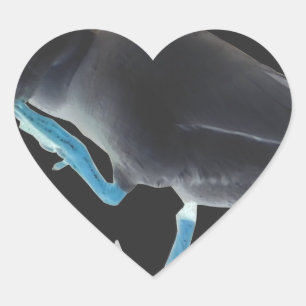 Duck with I Woke Up Like This & Hakuna Matata Text Heart Sticker