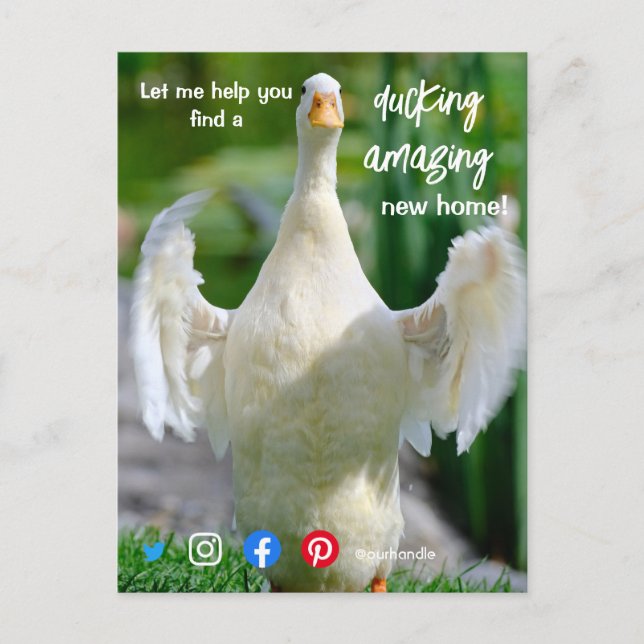 duck wonderful awesome real estate agent marketing postcard (Front)