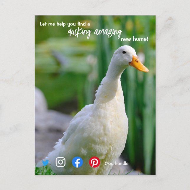 duck wonderful awesome real estate agent marketing postcard (Front)