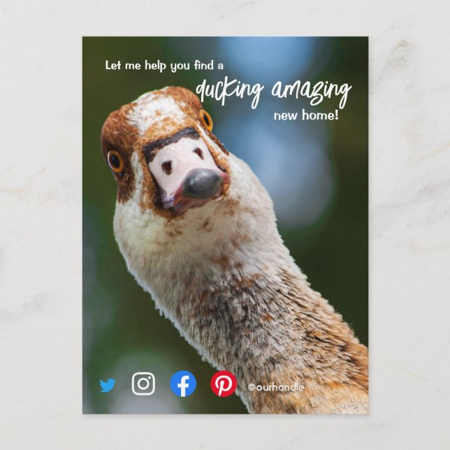duck wonderful awesome real estate agent marketing postcard (Front)