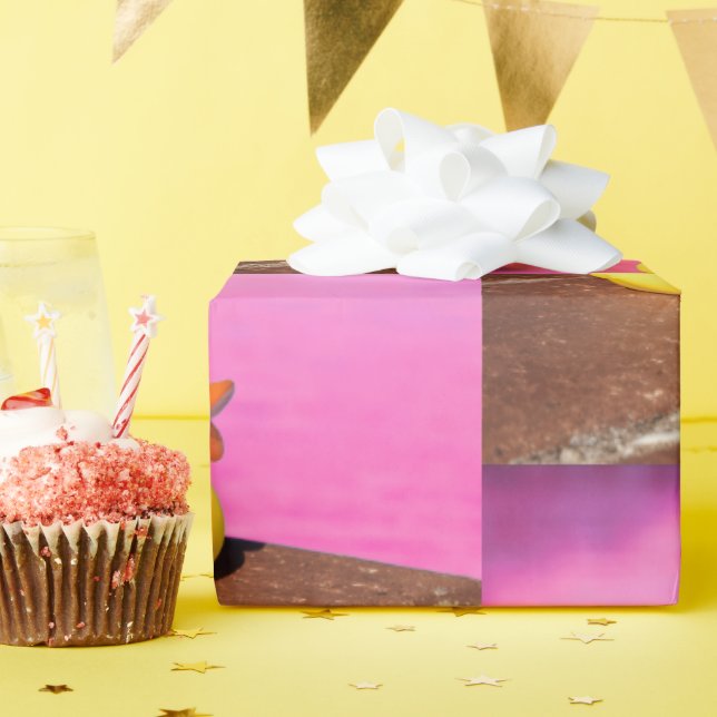 Duck Wrapping Paper (Birthday Party)