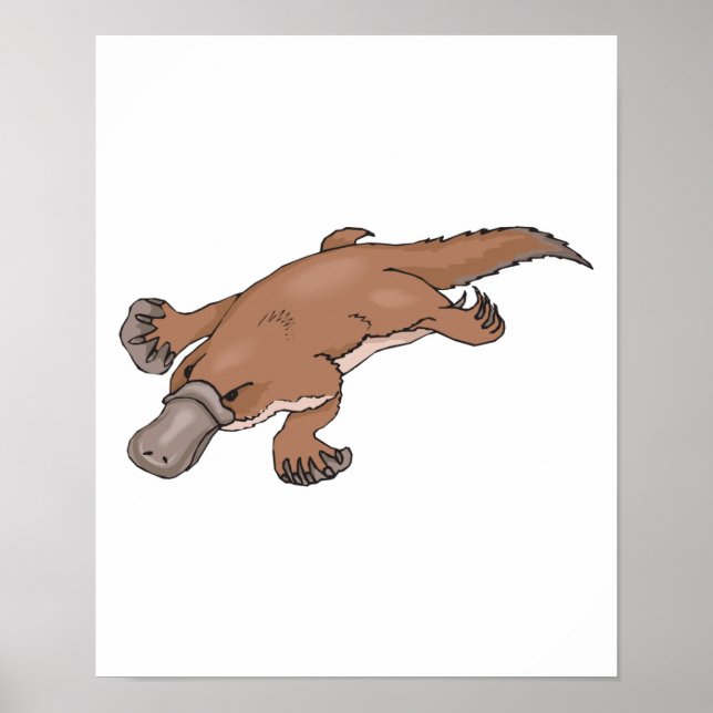 duckbilled platypus poster (Front)
