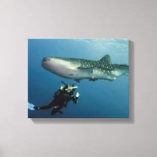 Ducking For Cover? Canvas Print