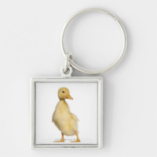 Duckling (1 week old) keychain