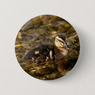 Duckling 2 Inch Round Button