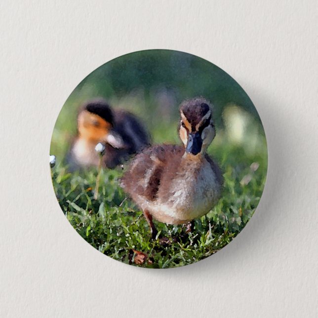 Duckling 2 Inch Round Button (Front)