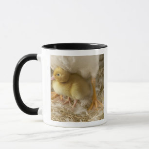 Duckling between mother's legs mug
