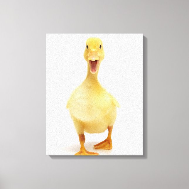 Duckling Canvas Print (Front)