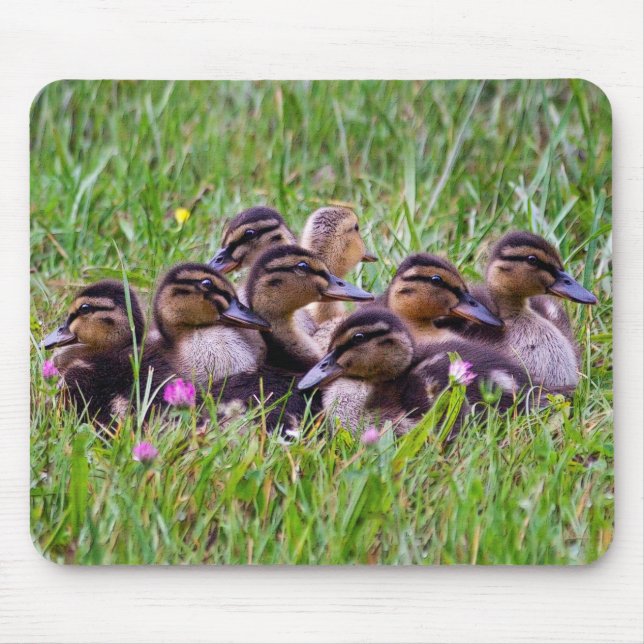 Duckling Huddle Mousemat Mouse Pad (Front)