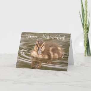 Duckling Mothers' Day Card