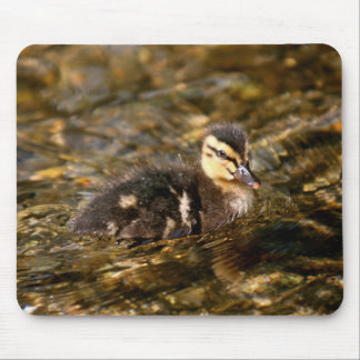 Duckling Mouse Pad