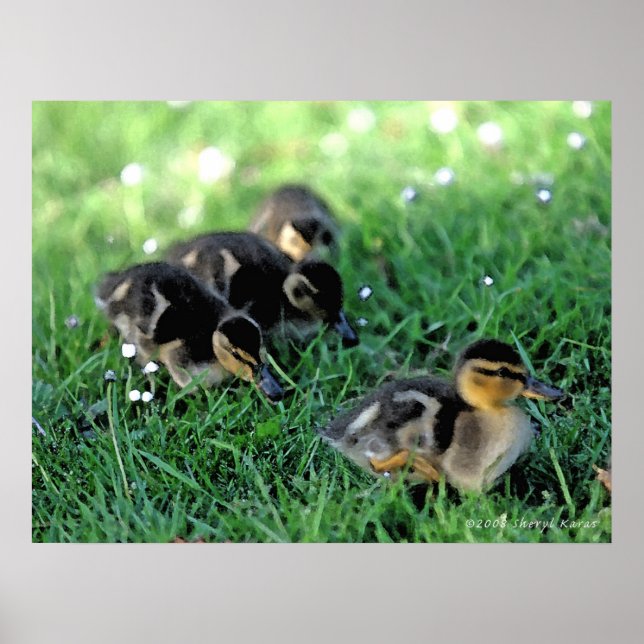 Duckling Parade Poster (Front)