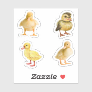 Duckling Stickers