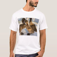 duckling t-shirt