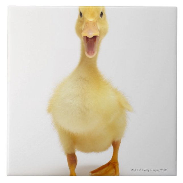 Duckling Tile (Front)