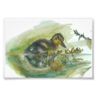 Duckling watercolour print 
