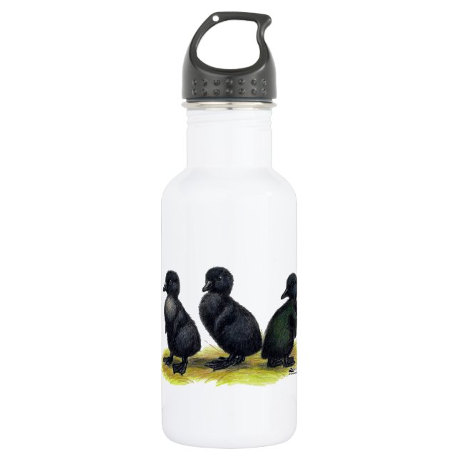 Ducklings Black Cayuga 532 Ml Water Bottle (Front)