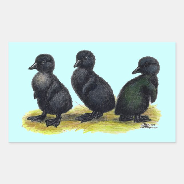 Ducklings Black Cayuga Sticker (Front)