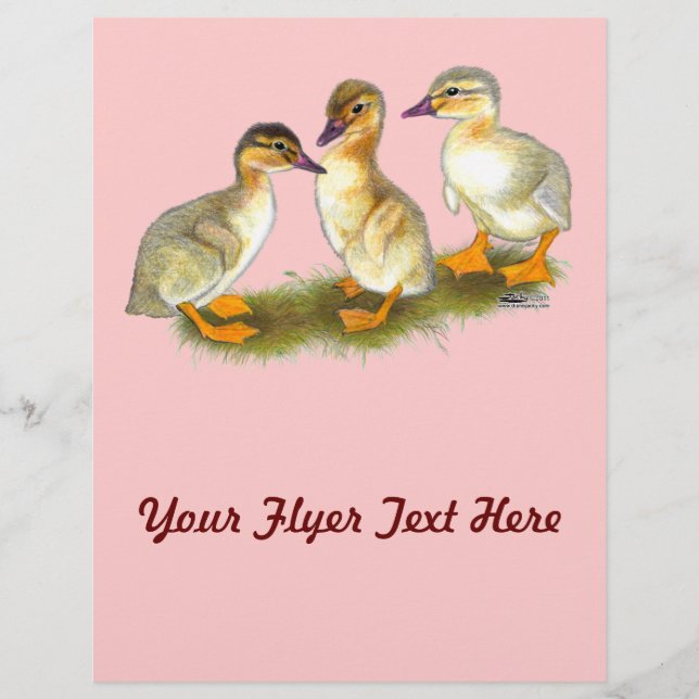 Ducklings:  Buff Orpingtons Flyer (Front)