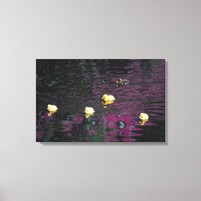 ducklings canvas print (Front)