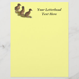 Ducklings: Chocolate Runners