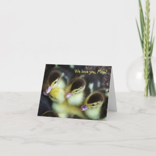 Ducklings Mother's Day Card