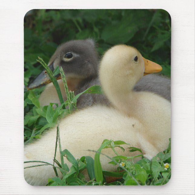 Ducklings Mouse Pad (Front)