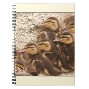 Ducklings Notebook
