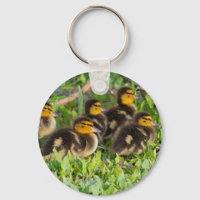 Ducklings Photo Keychain (Front)