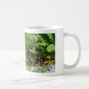 Ducklings Photo Mug