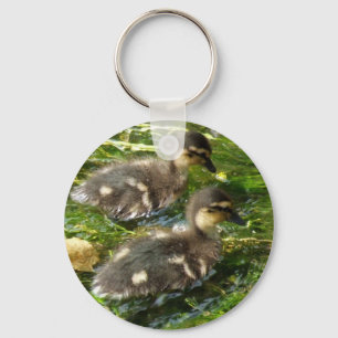 Ducklings Postcard Keychain