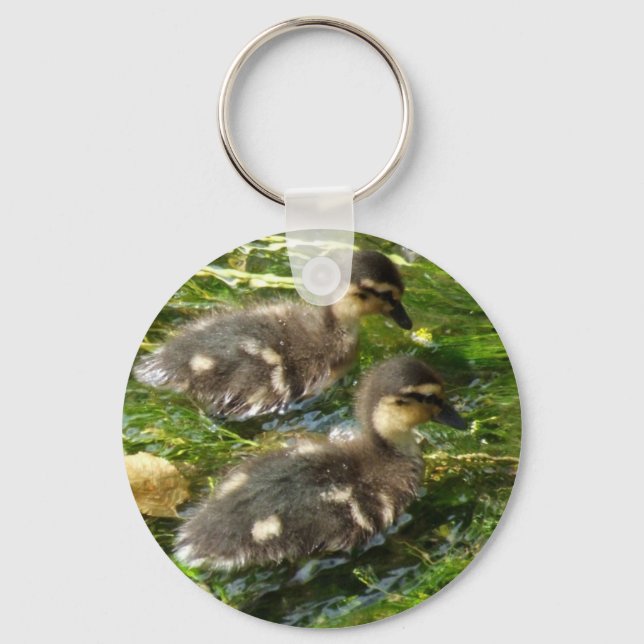 Ducklings Postcard Keychain (Front)