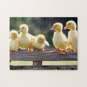 Ducklings Puzzle