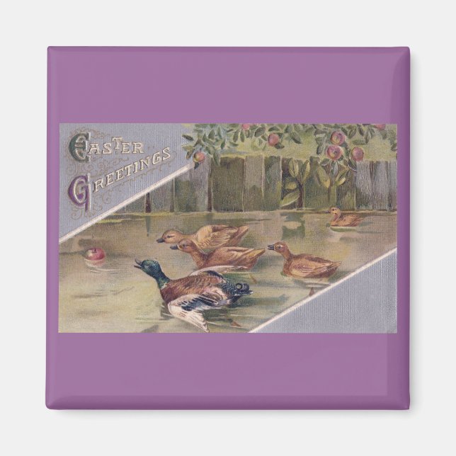Ducks After Apple Vintage Easter Magnet (Front)