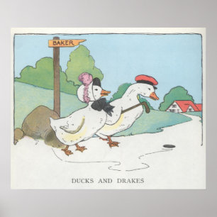 Ducks and Drakes Poster