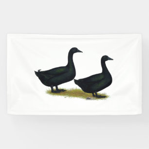 Ducks:  Black Cayugas Banner