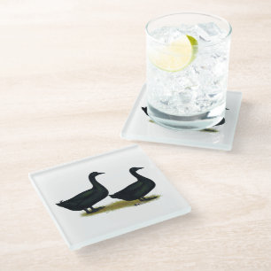 Ducks:  Black Cayugas Glass Coaster
