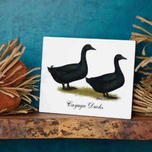 Ducks:  Black Cayugas Plaque