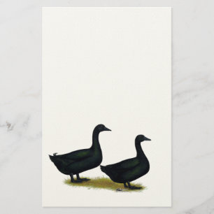 Ducks:  Black Cayugas Stationery
