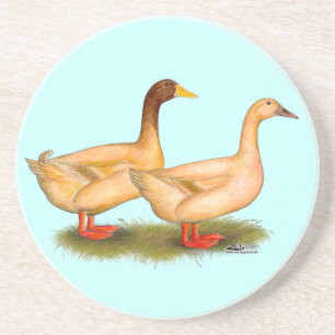 Ducks: Buff Orpington Coaster