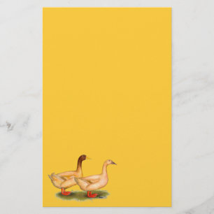 Ducks:  Buff Orpington Stationery