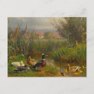 Ducks by Carl Jutz Postcard