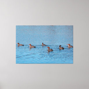 Ducks By Six Canvas Print