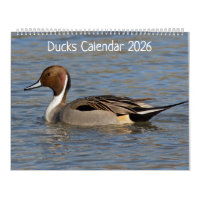 Ducks Calendar