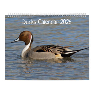 Ducks Calendar
